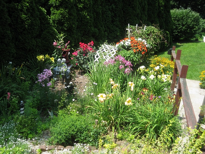 My organic flower garden