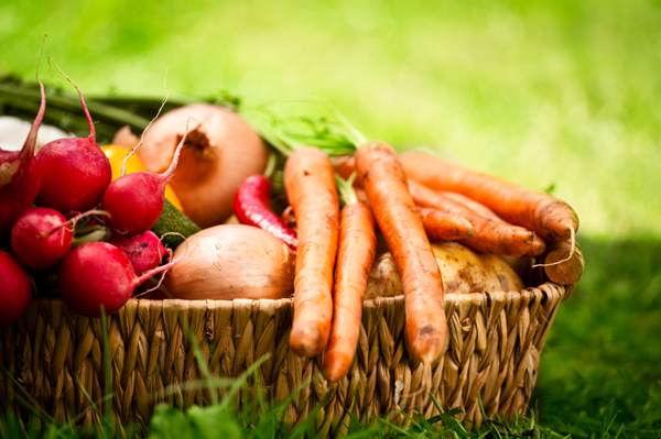 Basket-of-fall-veggies