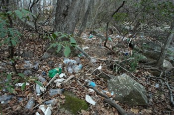 Plastic bottles and pollution