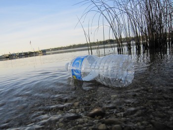Plastic toxicity