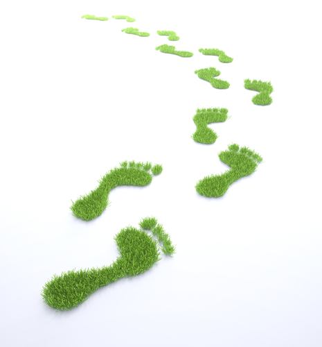 "Lowering Your Carbon Footprint"