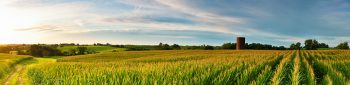 Organic farming