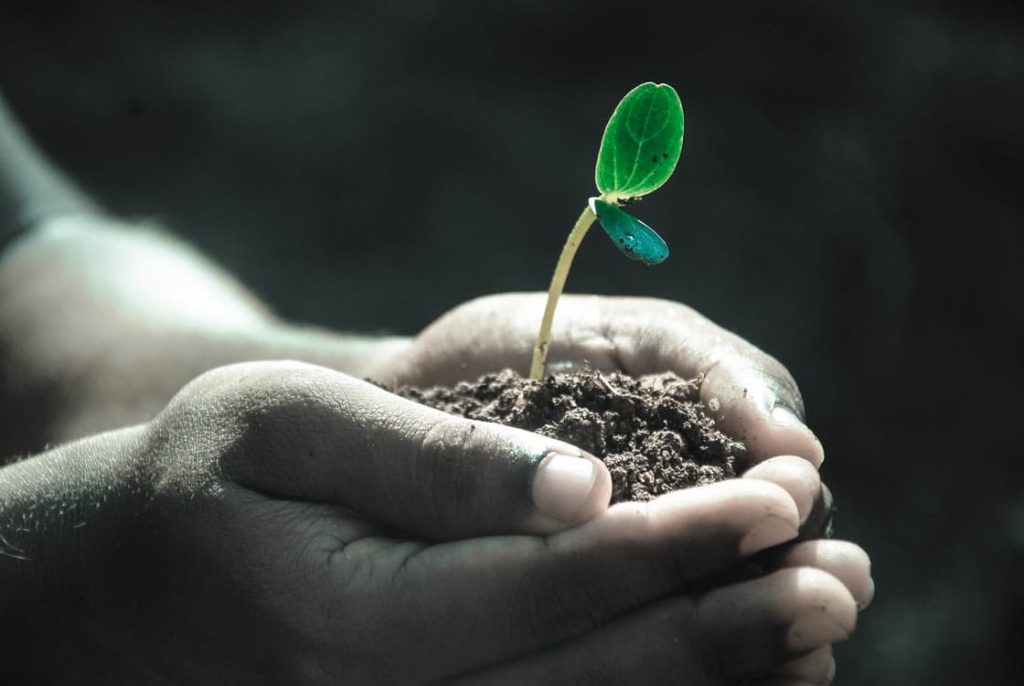 Living green and healthy