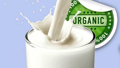 organic-milk