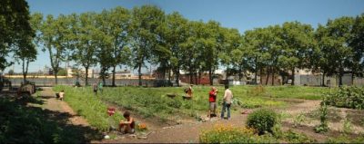 visit local farms