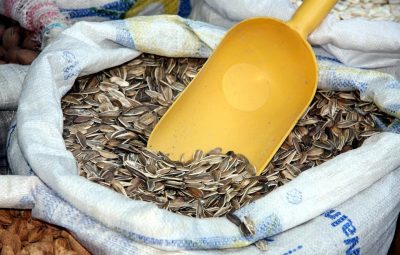 storing your sunflower seeds
