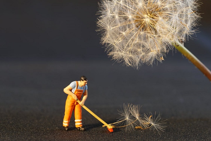 allergies and dander pollen