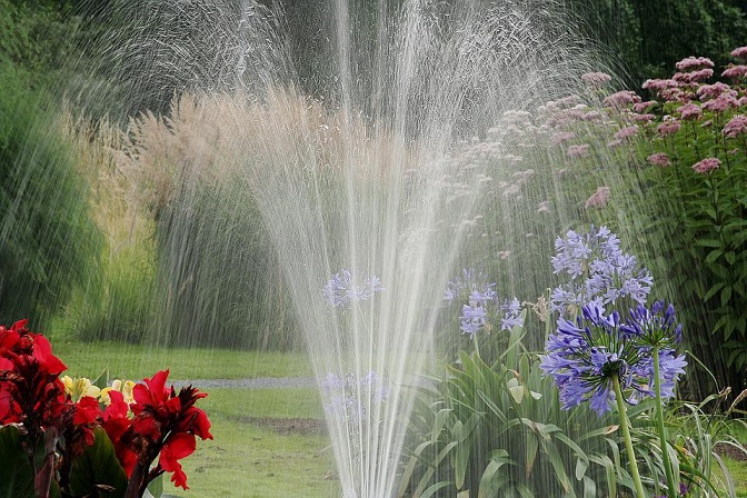 water and flowers
