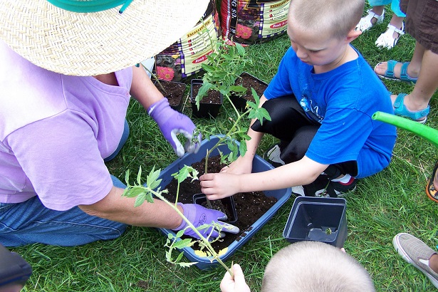 little boy gardening