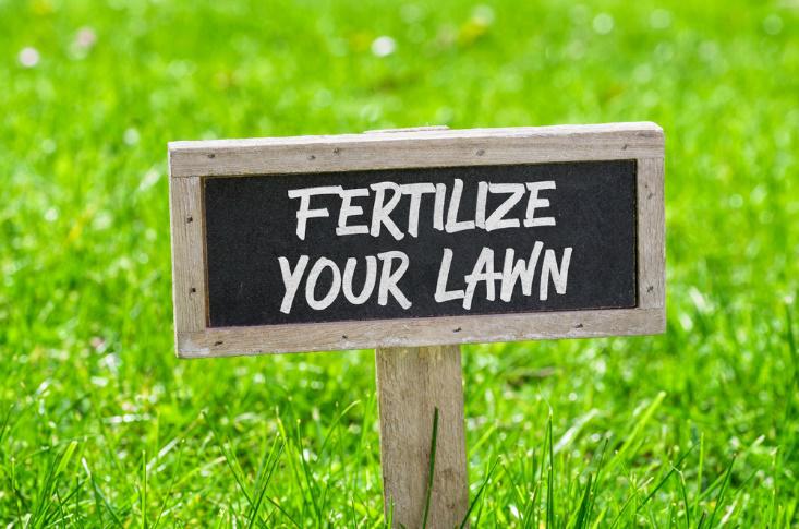 fertlize yur lawn