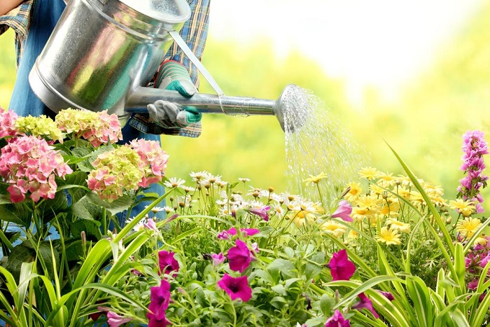 watering your garden