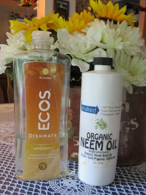 Recipe for DIY Insectidial Spray