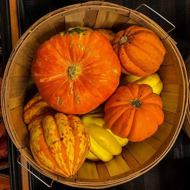 Squash