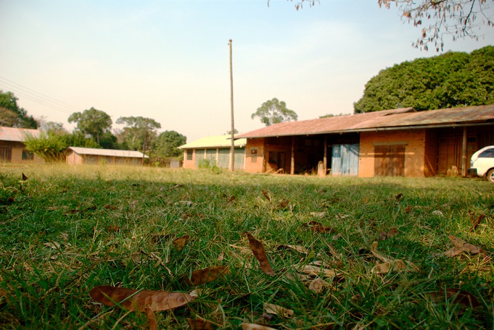 yard leaves and house