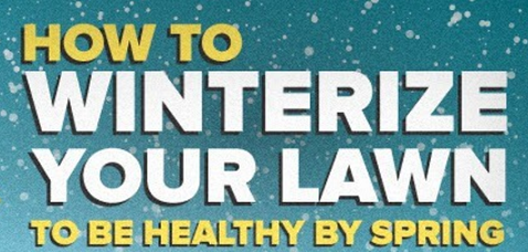 winterize your lawn and garden