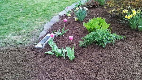 mulching your garden