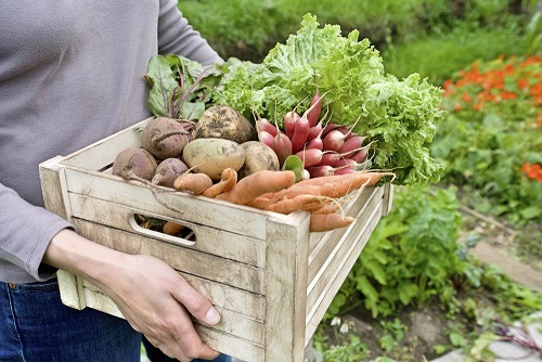 Organic gardening