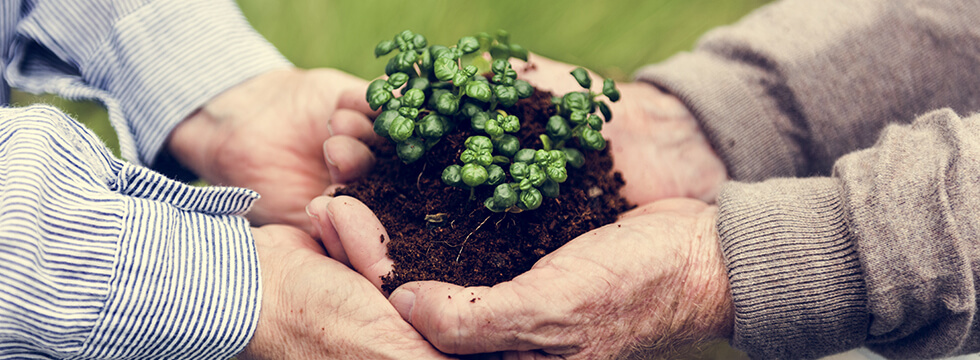Organic 4 Green Livings About Me