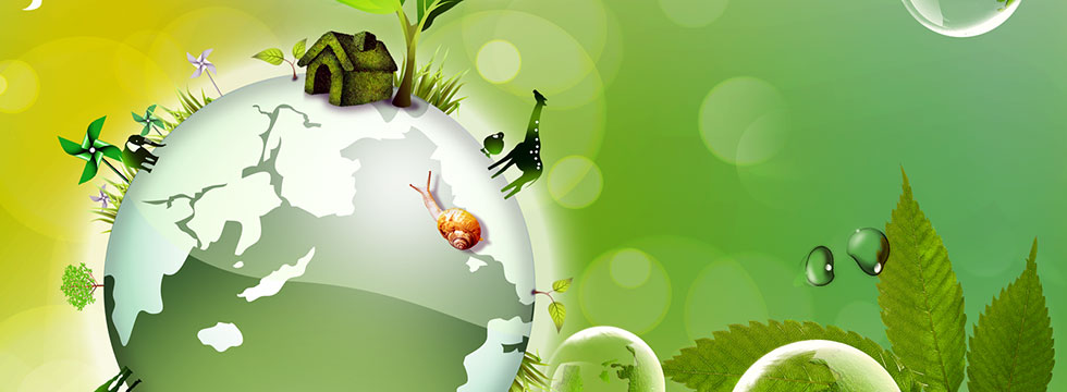 Organic 4 Green Living home page slider