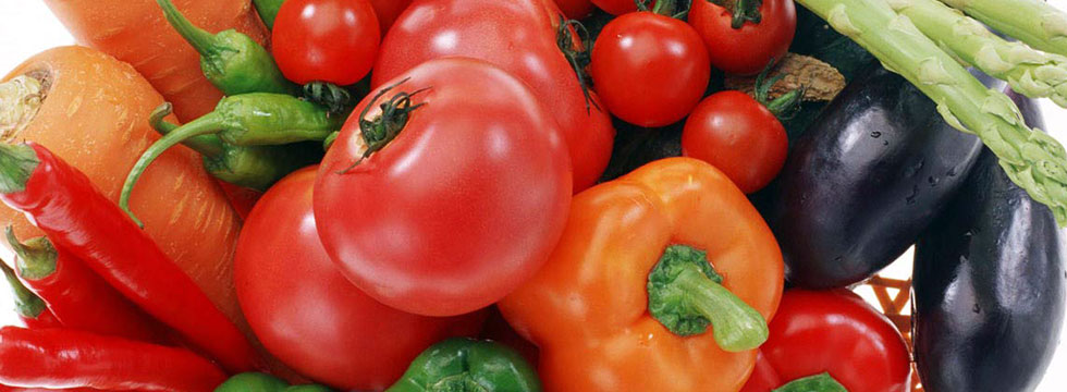 Organic 4 Green Living Home page slider
