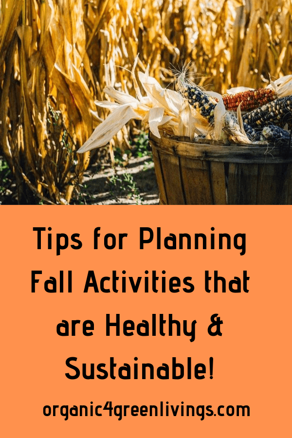 tips for planning sustainable fall activities